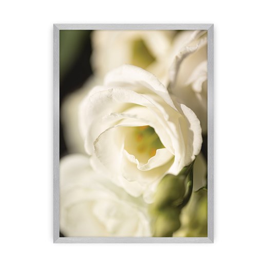 Plakat Flower Wall ze sklepu dekoria.pl w kategorii Obrazy - zdjęcie 172476808