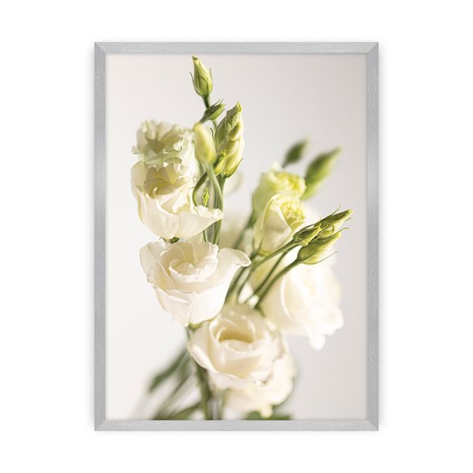 Plakat Elegant Flowers ze sklepu dekoria.pl w kategorii Obrazy - zdjęcie 172476816