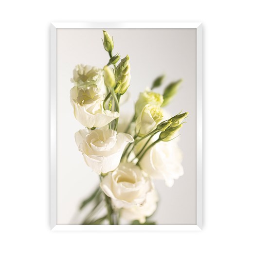 Plakat Elegant Flowers Dekoria One Size dekoria.pl