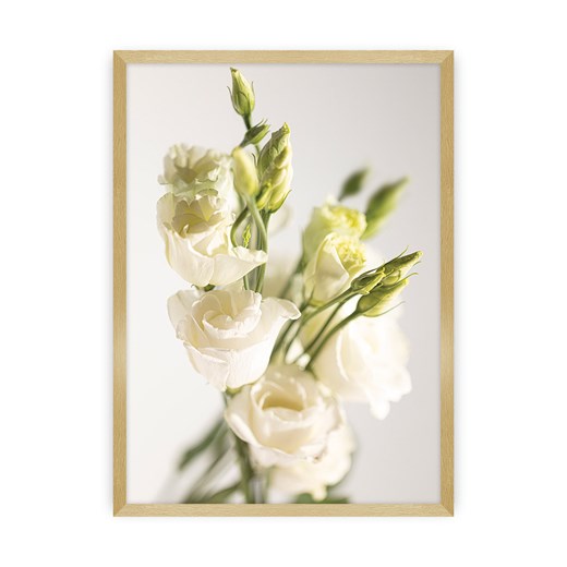 Plakat Elegant Flowers Dekoria One Size dekoria.pl