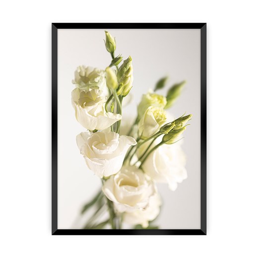 Plakat Elegant Flowers ze sklepu dekoria.pl w kategorii Obrazy - zdjęcie 172476829