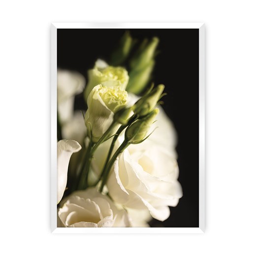 Plakat Dark Flowers I ze sklepu dekoria.pl w kategorii Obrazy - zdjęcie 172476838