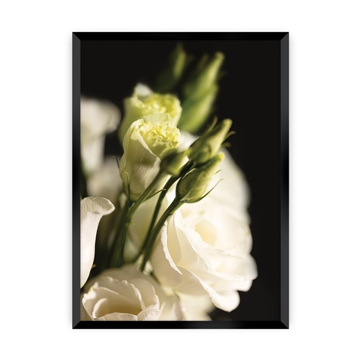 Plakat Dark Flowers I ze sklepu dekoria.pl w kategorii Obrazy - zdjęcie 172476845
