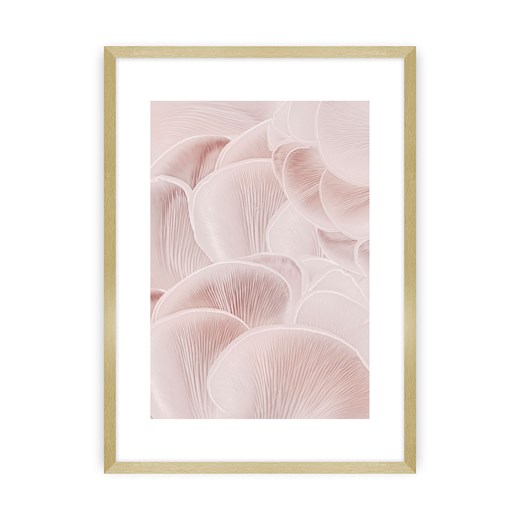 Plakat Pastel Pink I ze sklepu dekoria.pl w kategorii Obrazy - zdjęcie 172477257