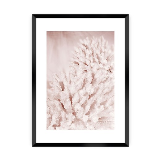 Plakat Pastel Pink II ze sklepu dekoria.pl w kategorii Obrazy - zdjęcie 172477275