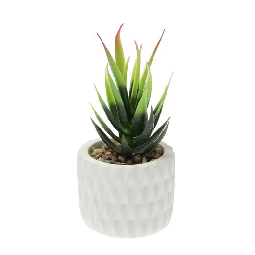 Dekoracja Sansevieria 12cm ze sklepu dekoria.pl w kategorii Dekoracje - zdjęcie 172486169