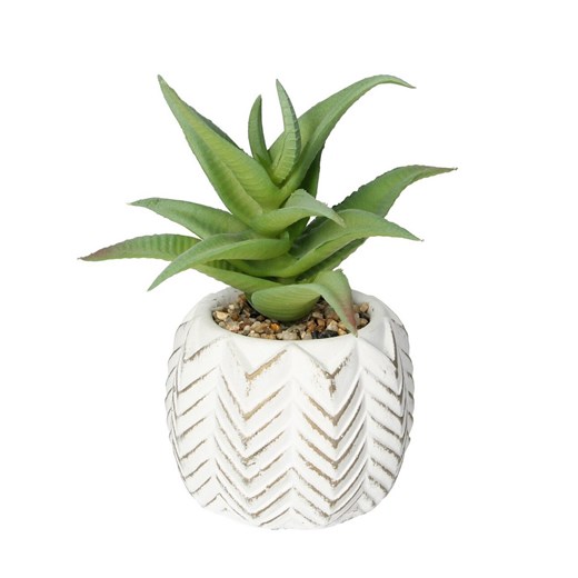Dekoracja Aloes I 14cm ze sklepu dekoria.pl w kategorii Dekoracje - zdjęcie 172486175