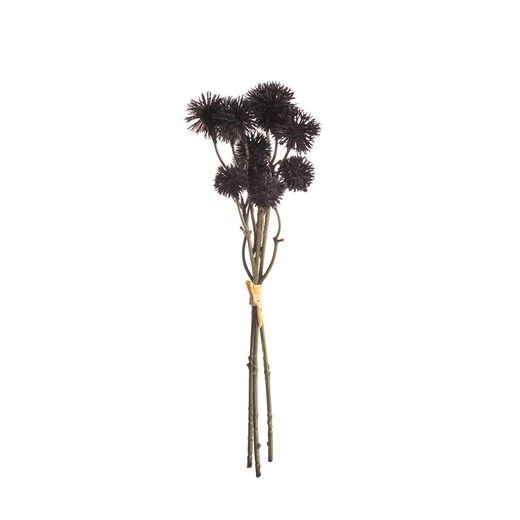 Bukiet Kraspedii 30cm deep brown ze sklepu dekoria.pl w kategorii Dekoracje - zdjęcie 172486469