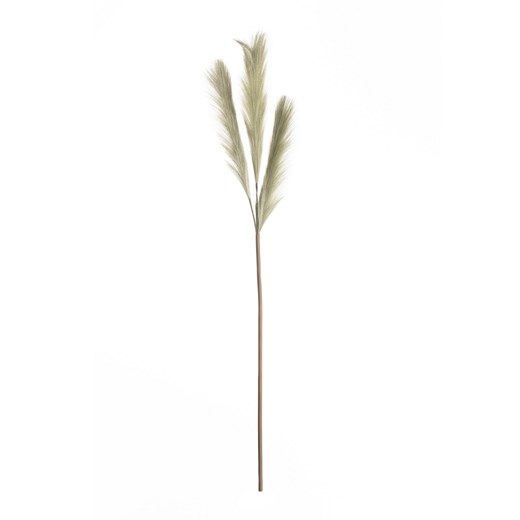 Trawa pampasowa 110cm green ze sklepu dekoria.pl w kategorii Dekoracje - zdjęcie 172486498