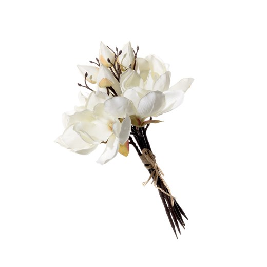 Bukiet Magnolii cream wys. 32cm ze sklepu dekoria.pl w kategorii Dekoracje - zdjęcie 172522265