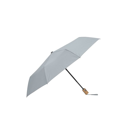 Ochnik parasol 