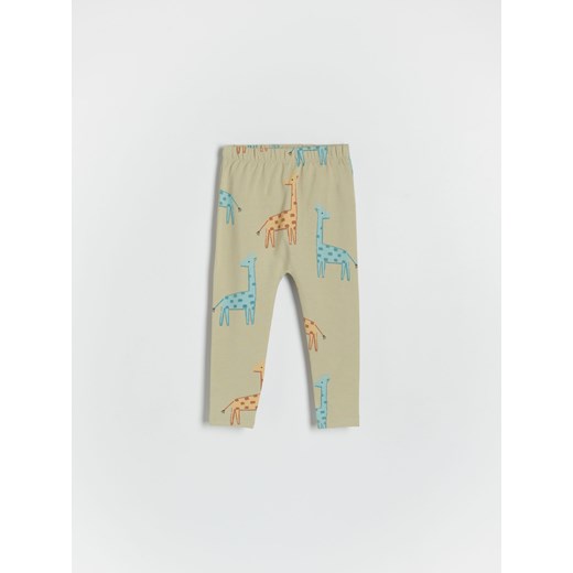 Reserved - Bawełniane legginsy - oliwkowy ze sklepu Reserved w kategorii Legginsy niemowlęce - zdjęcie 172578726