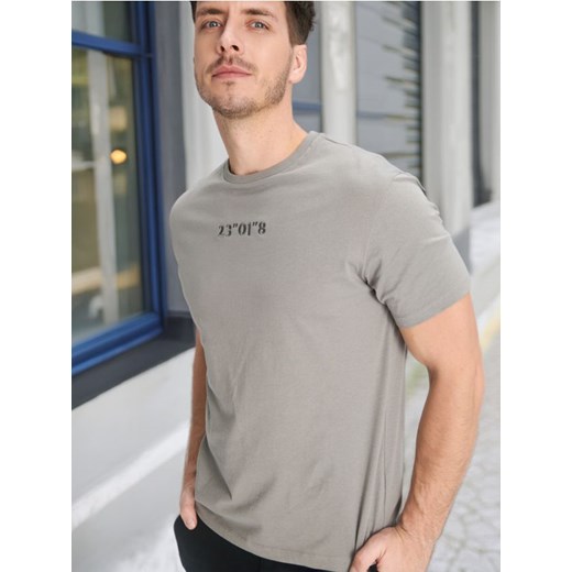 Sinsay - Koszulka - szary ze sklepu Sinsay w kategorii T-shirty męskie - zdjęcie 172621179
