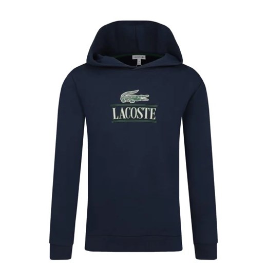 Lacoste Bluza | Regular Fit ze sklepu Gomez Fashion Store w kategorii Bluzy dziewczęce - zdjęcie 172728518