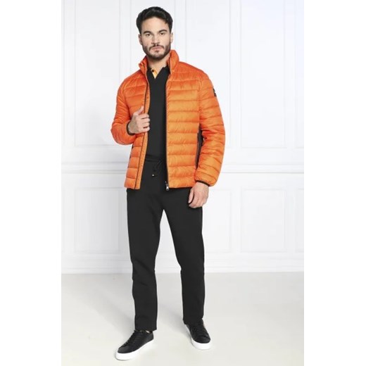 Calvin Klein Kurtka | Regular Fit Calvin Klein S wyprzedaż Gomez Fashion Store