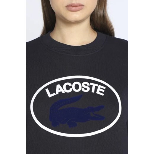 Lacoste Bluza | Regular Fit Lacoste 34 Gomez Fashion Store promocja