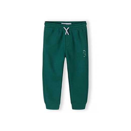 Spodnie chłopięce zielone Minoti 