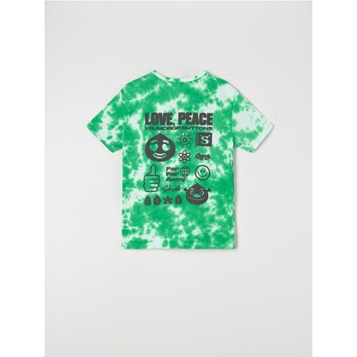 Sinsay - Koszulka Shrek - wielobarwny ze sklepu Sinsay w kategorii T-shirty męskie - zdjęcie 173141468