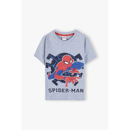 Bawełniana koszulka z krótkim rękawem, Spiderman - szara Spiderman 128 5.10.15