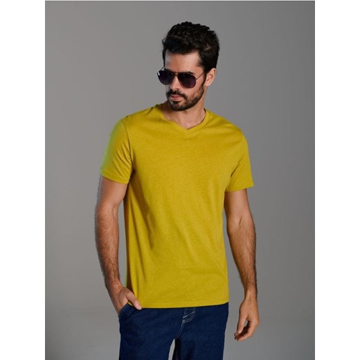 Sinsay - Koszulka - zielony ze sklepu Sinsay w kategorii T-shirty męskie - zdjęcie 173296017