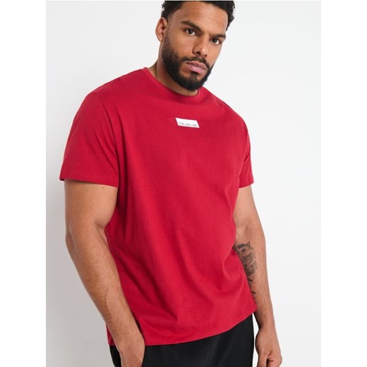 Sinsay - Koszulka bawełniana z nadrukiem - czerwony ze sklepu Sinsay w kategorii T-shirty męskie - zdjęcie 173451445