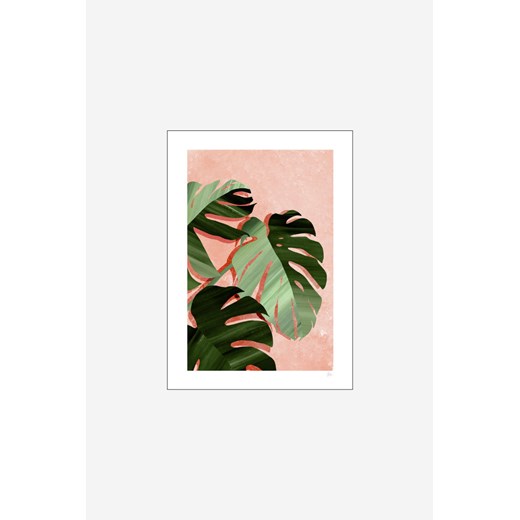 H & M - Violets Print House - Monstera Leaves - Biały ze sklepu H&M w kategorii Plakaty - zdjęcie 173540055