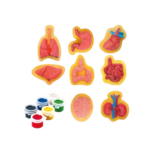 Explora Zestaw do malowania - 4+ ze sklepu Limango Polska w kategorii Zabawki - zdjęcie 173928335