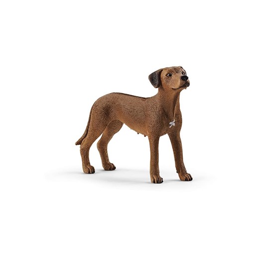 Schleich Figurka &quot;Rhodesian Ridgeback&quot; do zabawy - 3+ ze sklepu Limango Polska w kategorii Zabawki - zdjęcie 173944636