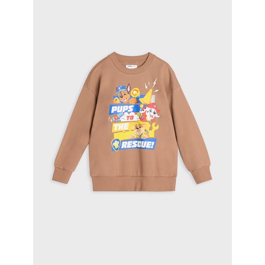 Bluza chłopięca Sinsay z motywem z bajki z poliestru 