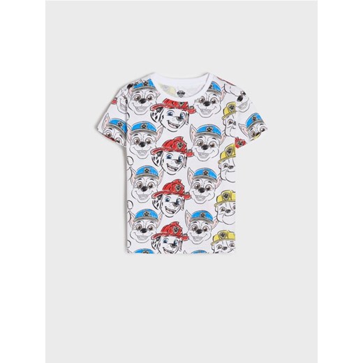 Sinsay - Koszulka Psi Patrol - biały Sinsay 110 Sinsay