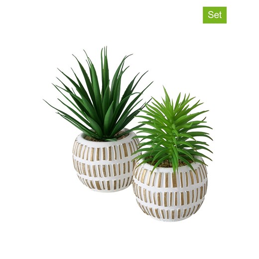 Boltze Sztuczne rośliny (2 szt.) &quot;Aloe&quot; w kolorze zielonym - wys. 13 cm ze sklepu Limango Polska w kategorii Doniczki i osłonki - zdjęcie 174010397