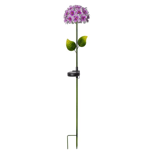 STAR Trading Solarna lampa ogrodowa LED &quot;Hortensia&quot; w kolorze fioletowym - wys. 77 cm ze sklepu Limango Polska w kategorii Oświetlenie ogrodowe - zdjęcie 174012158
