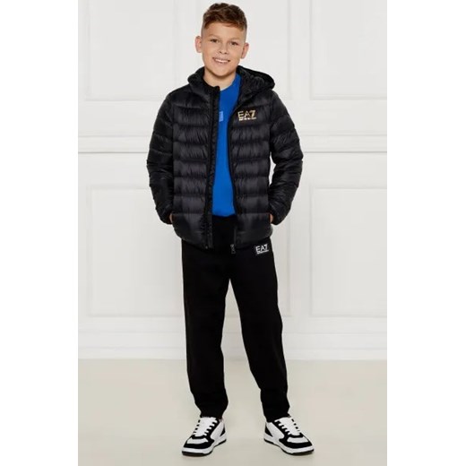 EA7 Puchowa kurtka | Regular Fit 160 Gomez Fashion Store