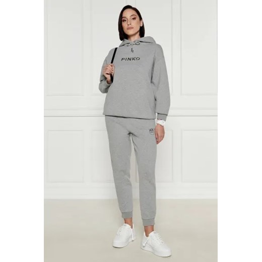 Pinko Bluza | Regular Fit Pinko M Gomez Fashion Store