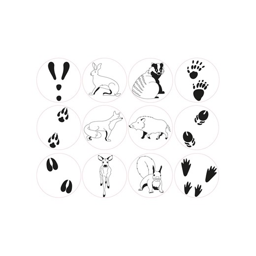 SUNNYSUE 12-częściowy zestaw do stempli - 3+ Sunnysue onesize okazja Limango Polska