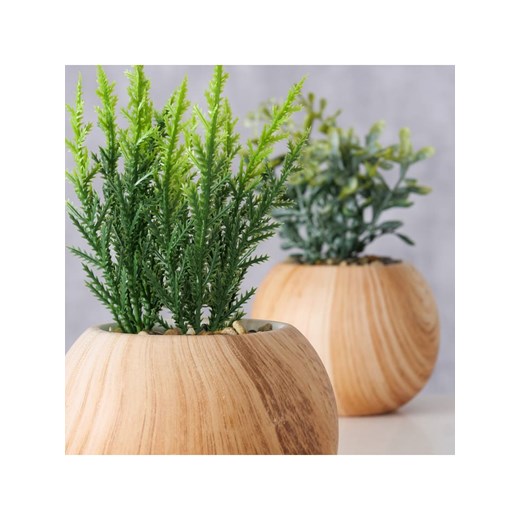 Boltze Sztuczne rośliny (2 szt.) w kolorze jasnobrązowo-zielonym - wys. 18 cm Boltze onesize promocja Limango Polska