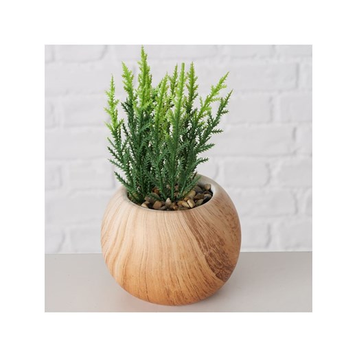 Boltze Sztuczne rośliny (2 szt.) w kolorze jasnobrązowo-zielonym - wys. 18 cm Boltze onesize Limango Polska promocja