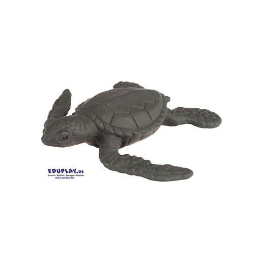 Eduplay Zestaw do eksperymentowania - 3+ Eduplay onesize promocja Limango Polska