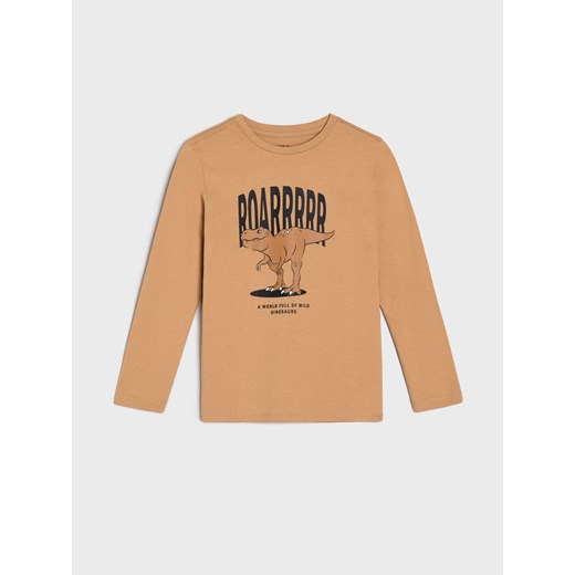 Sinsay - Koszulka z długimi rękawami - wielobarwny Sinsay 116 Sinsay