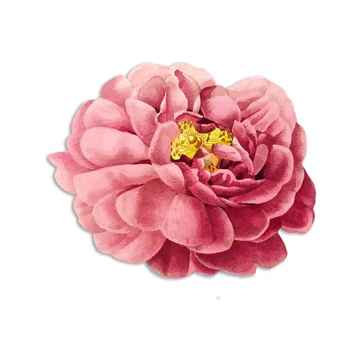 Madre Selva Podkładka stołowa &quot;Pink Flower&quot; w kolorze różowym - 50 x 40 cm ze sklepu Limango Polska w kategorii Podkładki na stół - zdjęcie 174684735
