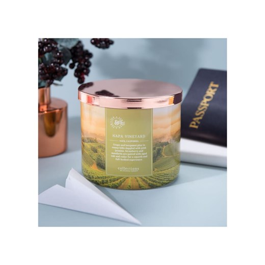 Colonial Candle Świeca zapachowa "Napa Vineyard" - 411 g Colonial Candle onesize wyprzedaż Limango Polska