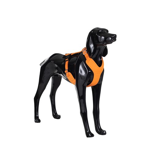 Paikka Szelki w kolorze pomarańczowym dla psa Paikka S Limango Polska okazja