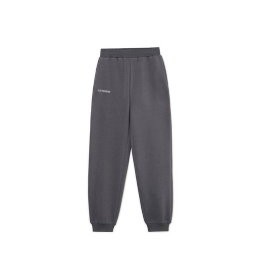 Cropp - Szare dresowe joggery z nadrukiem - szary ze sklepu Cropp w kategorii Spodnie damskie - zdjęcie 174856335