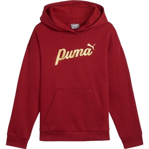 Bluza juniorska Ess+ Script Metallic Hoodie Puma ze sklepu SPORT-SHOP.pl w kategorii Bluzy dziewczęce - zdjęcie 174860595