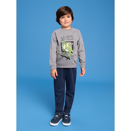 Sinsay - Bluza z dinozaurem - szary Sinsay 134 Sinsay