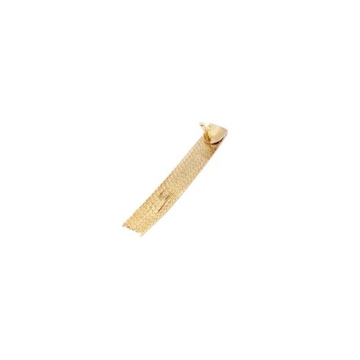 Elisabetta Franchi Kolczyki Elisabetta Franchi One Size Gomez Fashion Store
