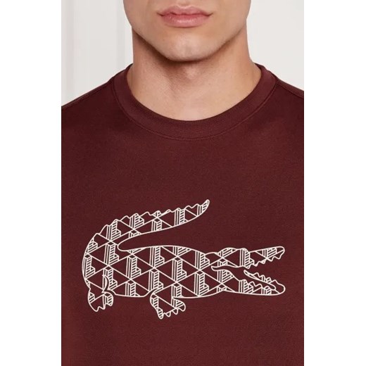 Lacoste T-shirt | Regular Fit Lacoste XL Gomez Fashion Store