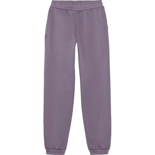 Spodnie dresowe dziewczęce TTROF754 4F ze sklepu SPORT-SHOP.pl w kategorii Spodnie dziewczęce - zdjęcie 175199759