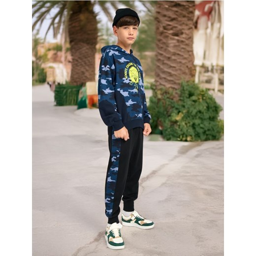 Sinsay - Bluza z nadrukem - wielobarwny Sinsay 158 Sinsay