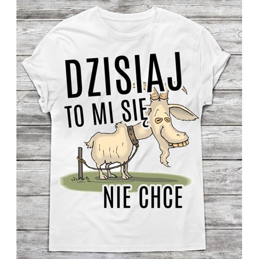 Koszulka męska ze sklepu Time For Fashion w kategorii T-shirty męskie - zdjęcie 175632705